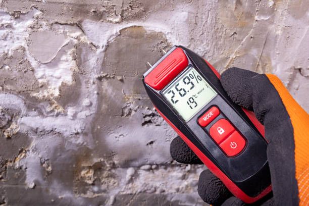 Best Attic Mold Remediation in Oak Park, IL