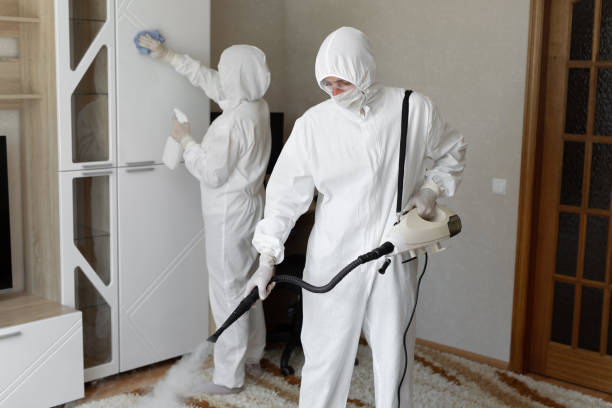 Best Post-Flood Mold Remediation in Oak Park, IL