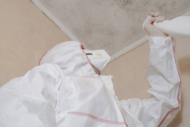 Best Industrial Mold Remediation in Oak Park, IL